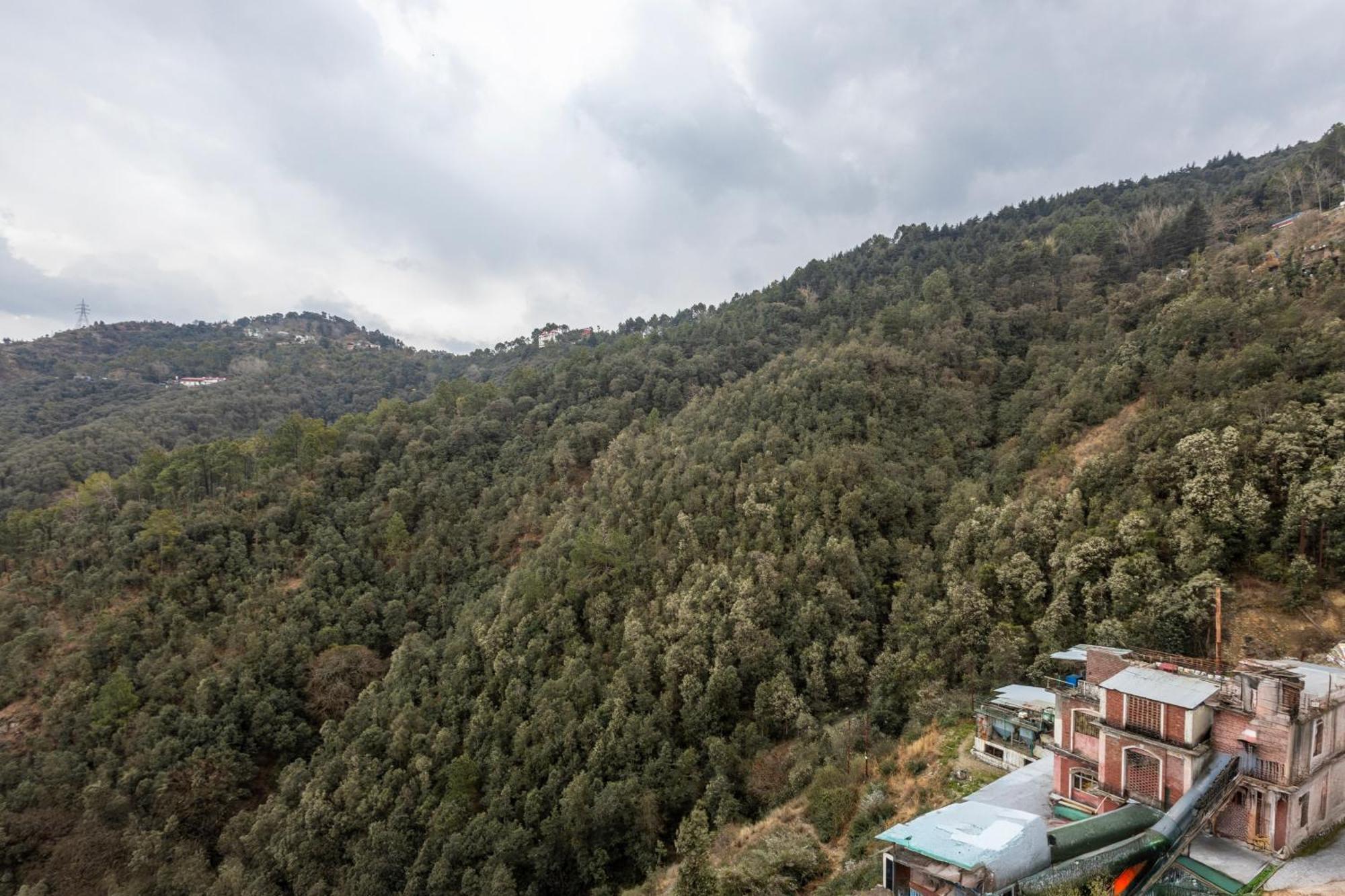 Treebo Lords Garden Glory With Valley View & Centralized Heating Shimla Ngoại thất bức ảnh